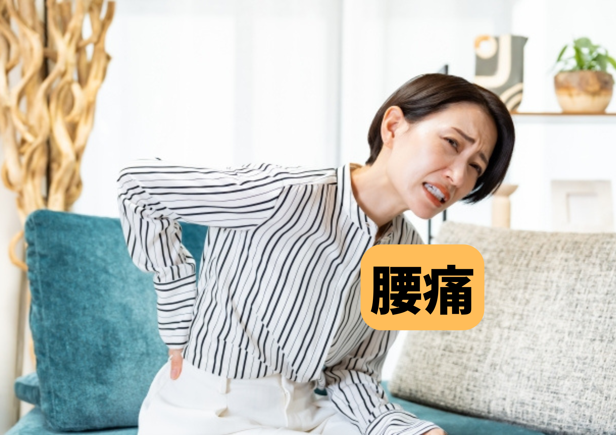 LPトップ (13)