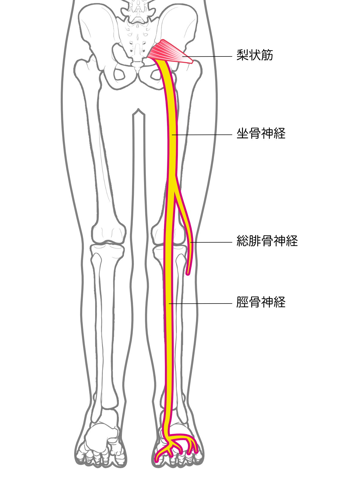 ダウンロード